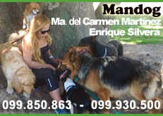 Pensionado Canino / Hotel MANDOG