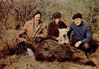 caza con dogos argetinos