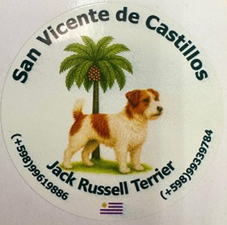 criadero jack russell terrier uruguay San Vicente de Castillos